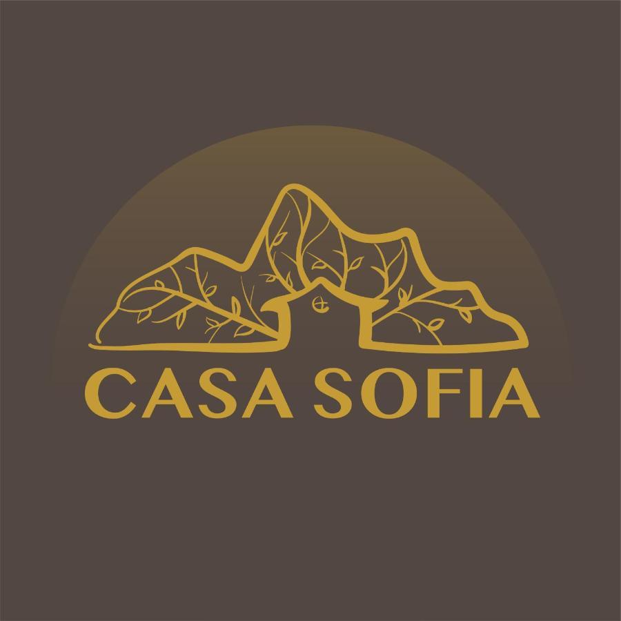 Vila Sofia Haţeg 外观 照片