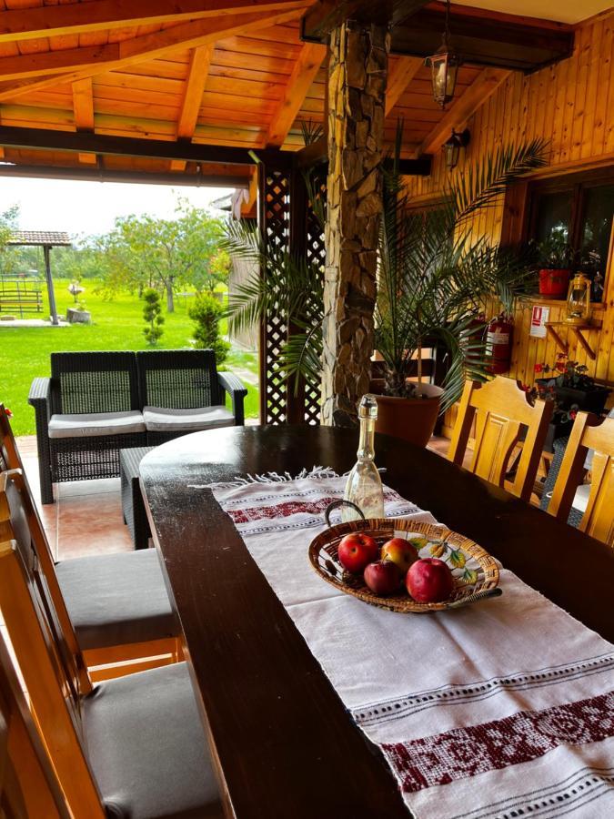 Vila Sofia Haţeg 外观 照片