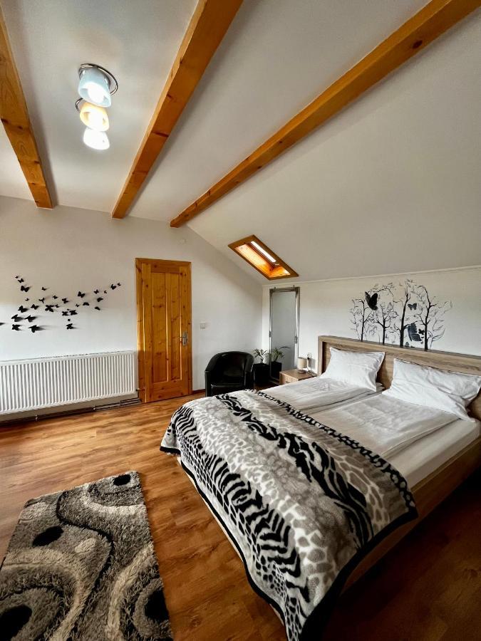 Vila Sofia Haţeg 外观 照片