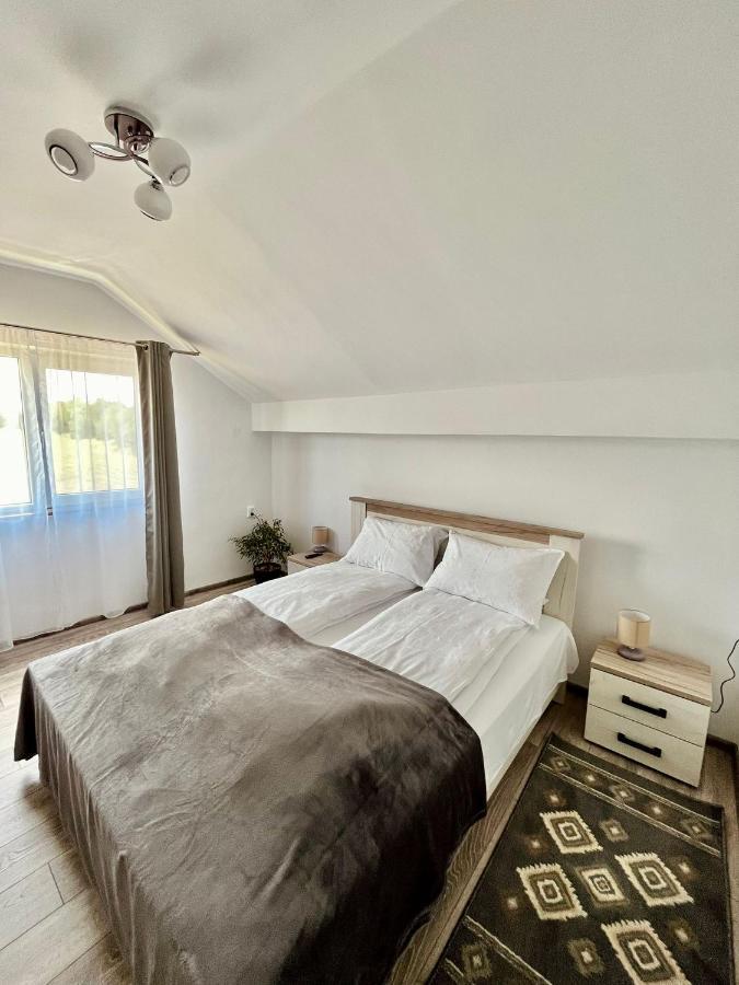 Vila Sofia Haţeg 外观 照片
