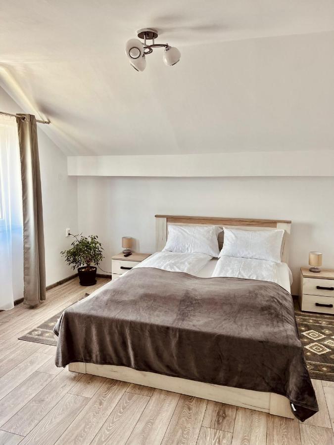 Vila Sofia Haţeg 外观 照片