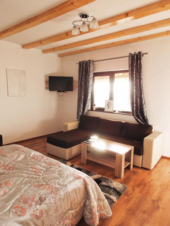 Vila Sofia Haţeg 外观 照片